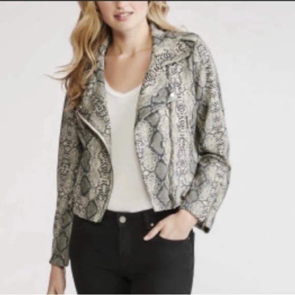 Fate Snake Skin Zipper Biker Jacket Grey With Pockets - Picture 1 of 12